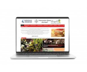 Новинарски сайт